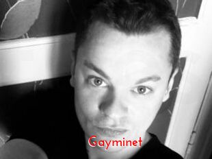 Gayminet