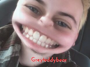 Greyteddybear