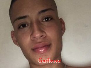 Garfiosex