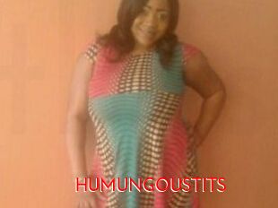 HUMUNGOUSTITS