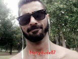 Hairydude87