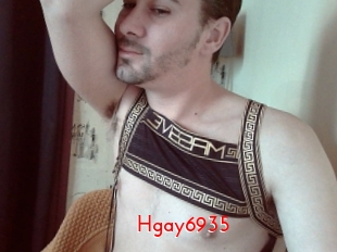 Hgay6935