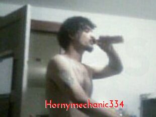 Hornymechanic334