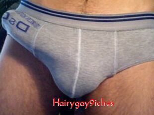 Hairygay9iches