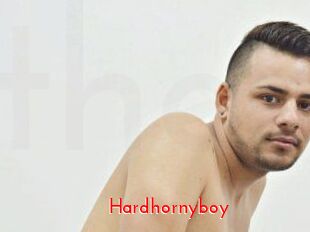 Hardhornyboy