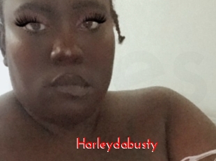 Harleydabusty