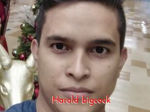 Harold_bigcock