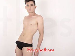 Harryhotbone