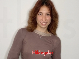 Hildagaler