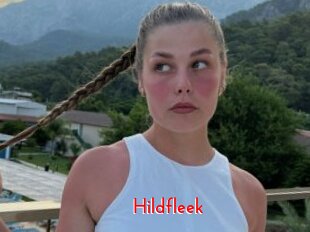 Hildfleek
