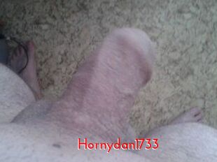 Hornydan1733