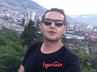 IgorGin