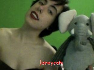 Janeycats