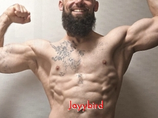 Jayybird