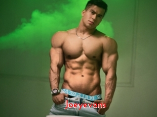 Joeyevans