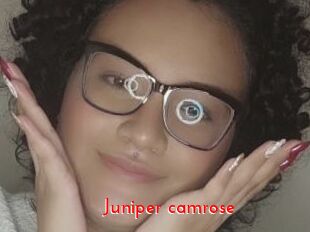 Juniper_camrose