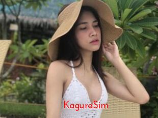 KaguraSim