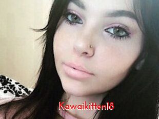 Kawaikitten18