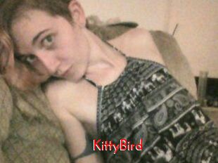 KittyBird