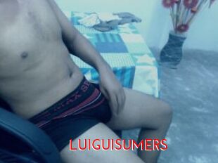 LUIGUISUMERS