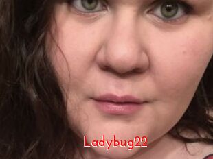 Ladybug22