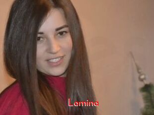 Lamina