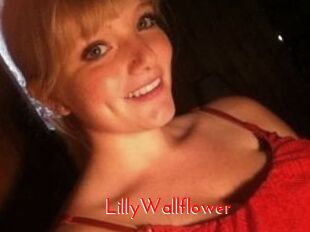 LillyWallflower