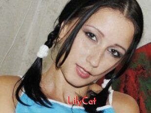 Lily_Cat_