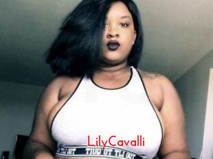 Lily_Cavalli