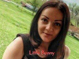 Little_Bunny_