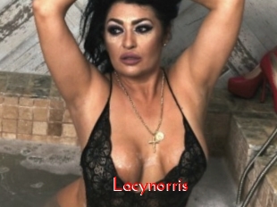 Lacynorris