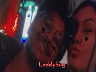 Laddybug