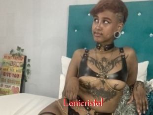 lanicristal The Sex
