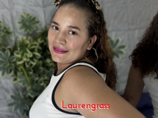 Laurengrass