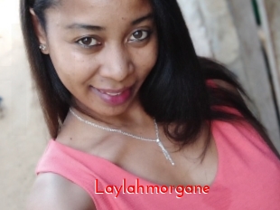 Laylahmorgane