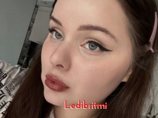 Ledibritmi