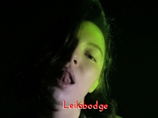 Leilabodge