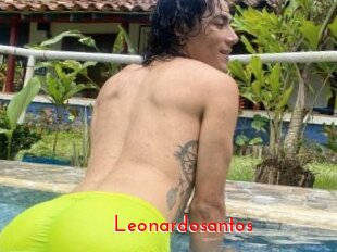 Leonardosantos