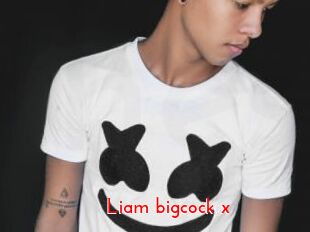 Liam_bigcock_x