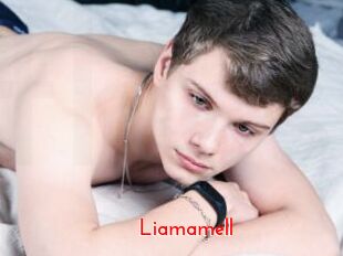 Liamamell