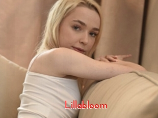 Lillabloom