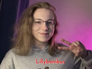 Lillybambus