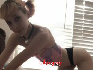 Lilyxgrey