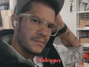 Litlebigguy