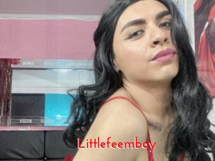 Littlefeemboy