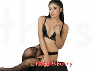 Littlegoldxbunny