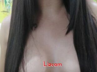 Lizcam