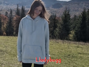 Lladybugg