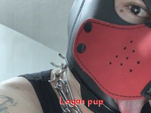 Logan_pup