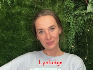 Lynfudge